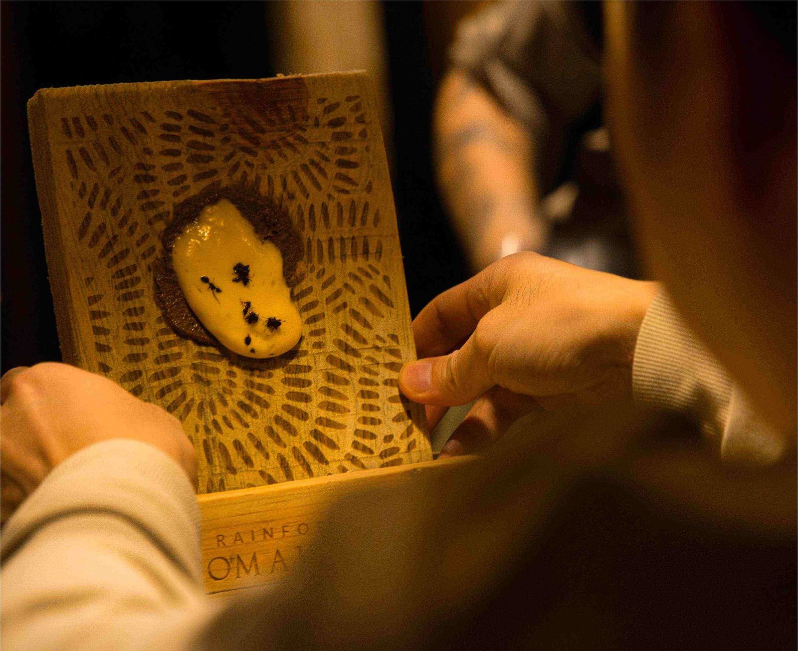 Wengwa Rainforest Discovery